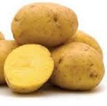 Holland Marsh Potatoes