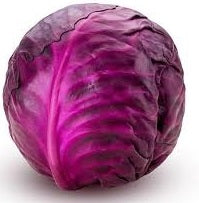 Holland Marsh Cabbage