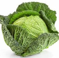 Holland Marsh Cabbage
