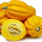 Holland Marsh Squash