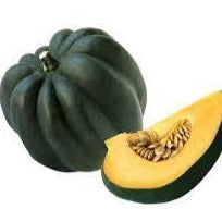 Holland Marsh Squash