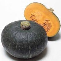 Holland Marsh Squash