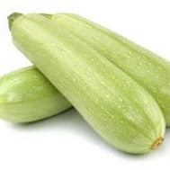 Holland Marsh Zucchini