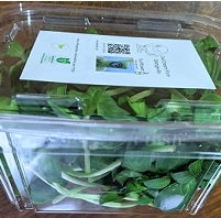 Holland Marsh Greens