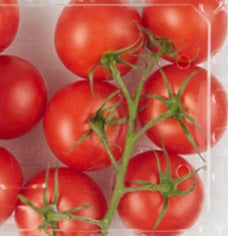 Holland Marsh Tomatoes
