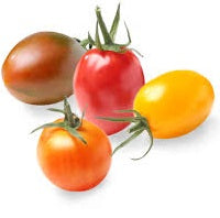 Holland Marsh Tomatoes