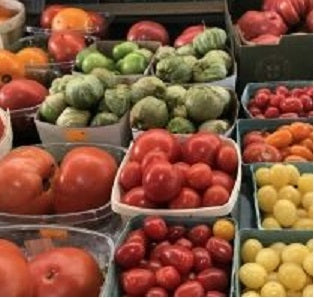 Holland Marsh Tomatoes – Bradford, ON