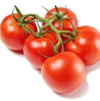 Holland Marsh Tomatoes