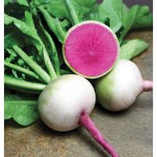 Holland Marsh Radish
