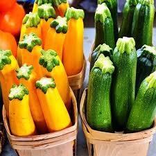 Holland Marsh Zucchini – Bradford, ON
